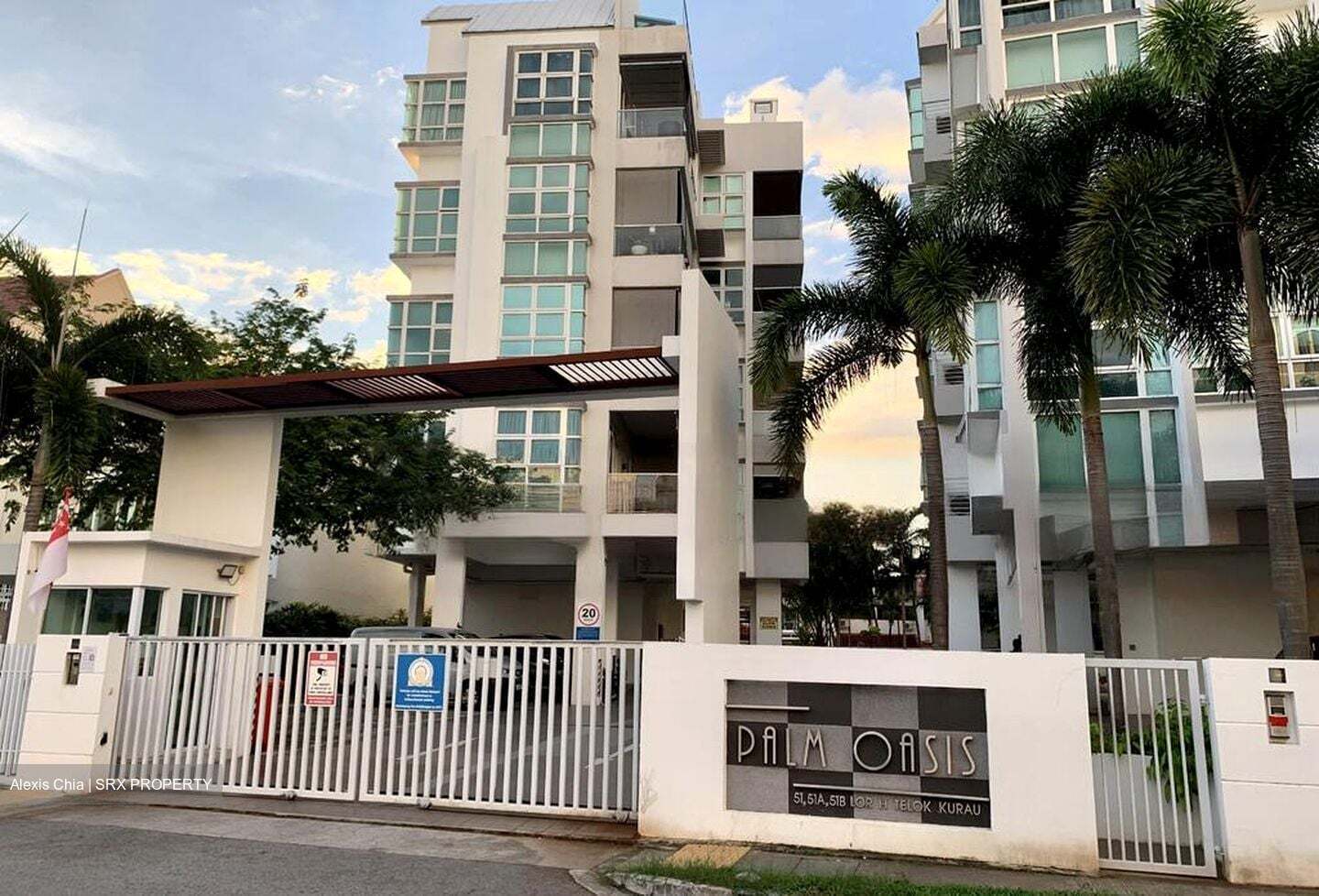 Palm Oasis (D15), Apartment #563716001